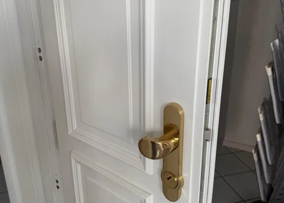 Mechanischer Sicherheitsbeschlag von KeyStar Wien — Schutzrosette und Stahlplatte